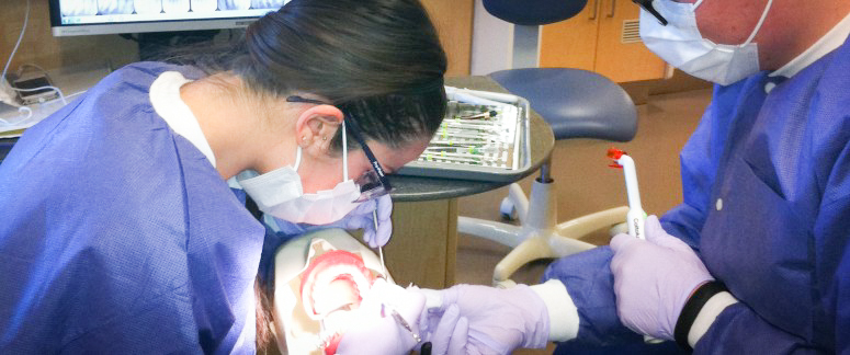 Dental students work on model mouth in laboratory setting